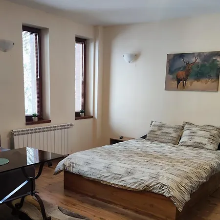 Grand A1 アパート *