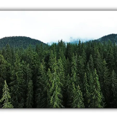 Grand A1 アパート パンポロボ