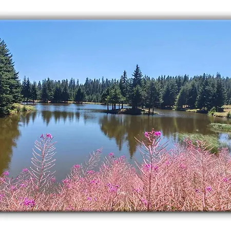 Διαμέρισμα Grand A1 Παμπόροβο