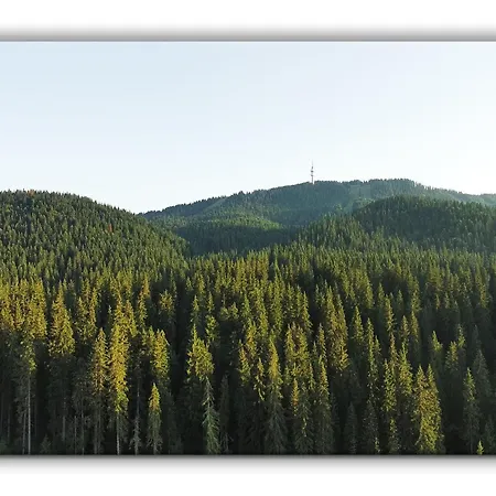 Grand A1 パンポロボ