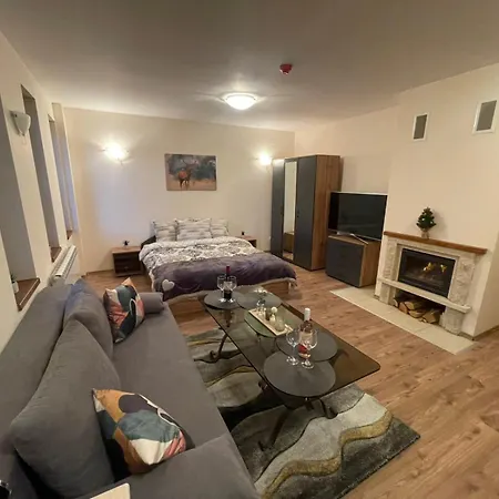 Apartament Grand A1 *