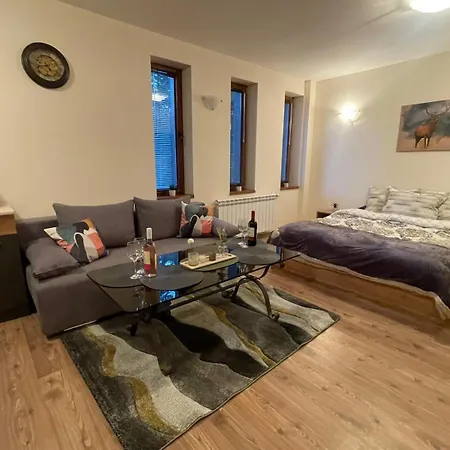 Grand A1 Apartament