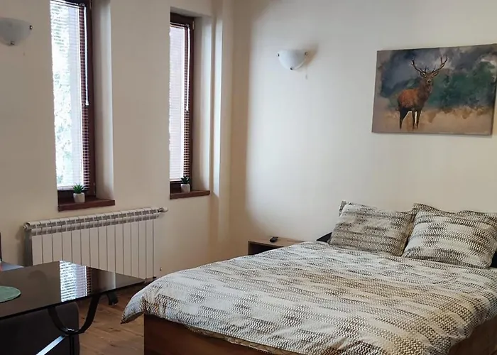 Grand A1 Appartement *