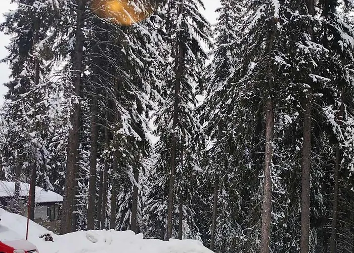 Appartement Grand A1