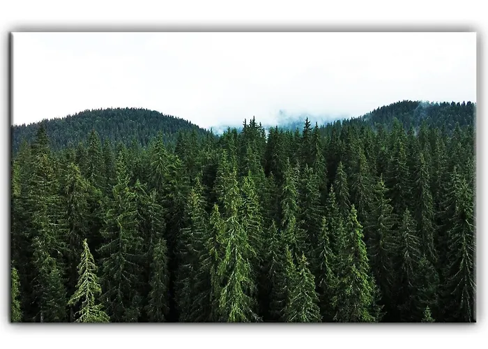 Grand A1 Appartement Pamporovo