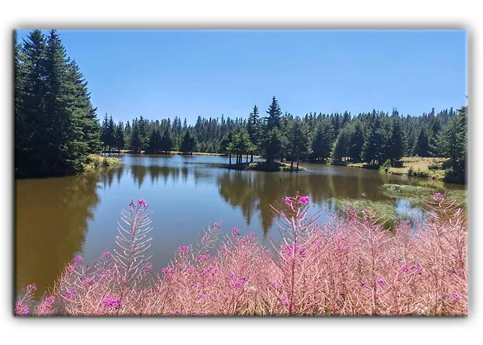 Appartement Grand A1 Pamporovo