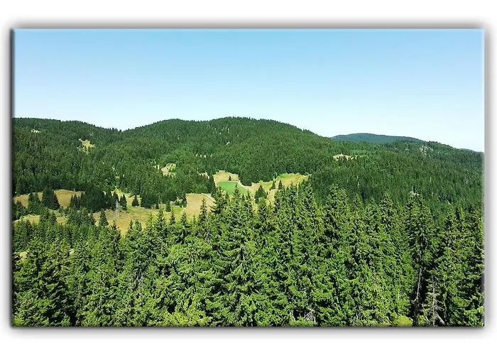 Appartement Grand A1