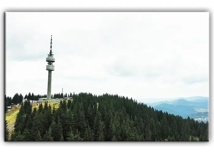 Grand A1 Appartement